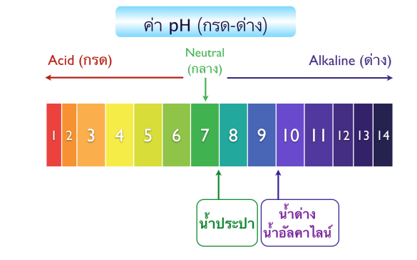 น้ำอัลคาไลน์-ph12-น้ำด่าง-น้ำด่างเข้มข้น-หัวน้ำด่าง-สวนปานะ-alkaline-water-ph12-สำหรับผสมน้ำดื่ม-ปริมาณสุทธิ-1000-ml