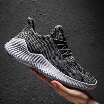 Hot Style Shoes Men High Quality Sneakers Male Mesh Breathable Gym Men Casual Shoes Big Size Footwear 49 Tenis Masculino Adulto