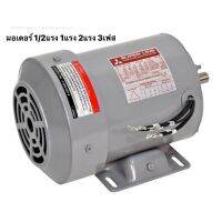 มอเตอร์ MITSUBISHI รุ่น SF-JR SF-QR 1/2แรง 1แรง 2แรง 3เฟส 220/380 โวลต์ IP55 (ใช้กับไฟ 380v)