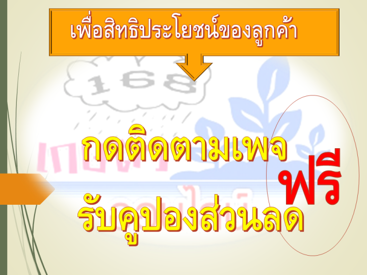 แตกกอ-ปุ๋ยเคมี-ธาตุอาหารรอง-เขียวทน-ข้าวแตกกดี-ต้านทานโรคและแมลง-ขนาด-1-ลิตร