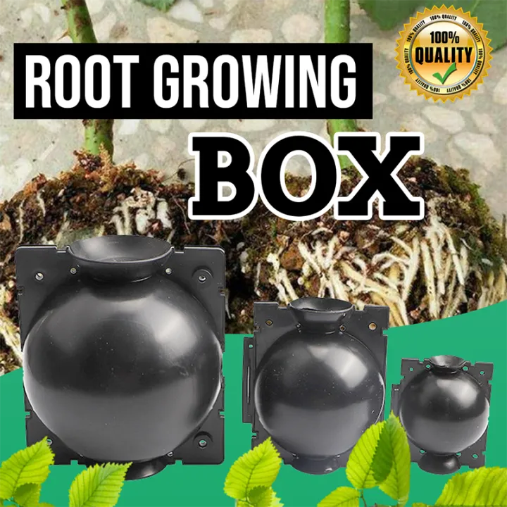 Reusable Root Growing Box3 PCS Plant Propagation Device for Root Plant