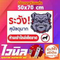 ป้าย ระวังสุนัขดุ ป้ายหมาดุ ระวังหมาดุ ไวนิลสุนัขดุ ป้ายระวังหมาดุ ขนาด 50x70cm เจาะตาไก่ พร้อมส่ง ส่งไว ส่งด่วน