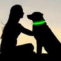 [YP] ปลอกคอสุนัข LED ปรับได้เรืองแสงป้องกันการสูญหายสร้อยคอไนลอนกากเพชรปลอกคอเรืองแสงสำหรับสัตว์เลี้ยงกลางคืนสร้อยคอแวววาวสำหรับขนาดเล็ก