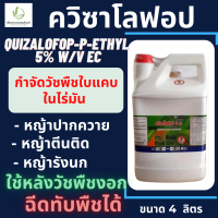 ควิซาโลฟอป 5 อีซี ตราเห้งเจีย 4 ลิตร (quizalofop-P-ethyl 5% W/V EC)กำจัดวัชพืชใบแคบ ,ล้มลุก  หญ้านกสีชมพู,หญ้าตีนนก,หญ้าตีนกา