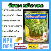 ฟักทอง หนังคางคก ปลาทอง ขนาด 50 กรัม เมล็ดพันธุ์ ลอตใหม่ งอกดี ปลูกง่าย โตไว เนื้อแน่น มัน อร่อย ขายง่าย ตลาดต้องการ ปลูกได้ทั้งปี