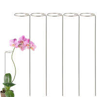 [RICH VAVA] ดอกไม้ Plant Stakes สแตนเลส Rose Sunflower Orchid Garden สูง Single Stem Plant Support Holder Rack