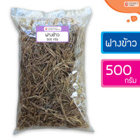 ฟางข้าว ฟางแห้ง 500 กรัม สำหรับเพาะเห็ดฟาง และคลุมดินรักษาความชื้น ป้องกันหญ้าวัชพืชงอก เพิ่มอินทรีย์วัตถุให้กับดิน