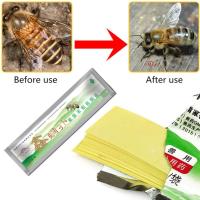 Bee Stick ฐานของการอยู่รอดของแมลงศัตรูพืชสามารถกำจัดได้โดยการกระทำของผึ้งไรอาคารอยด์สีเขียว