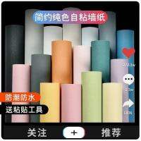 （HOT) ผ้าติดผนัง 50 สีพื้นหลังสีพื้นหลังห้องนอนที่อบอุ่นสำหรับใช้ในหอพัก