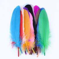 ‘【；】 100 Pcs / Package Colored DIY Goose Flow Process Feather Fluorescent Flower Chestnut Decoration Accessories