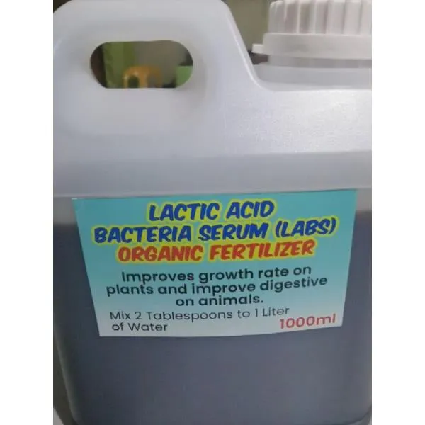 Lactic Acid Bacteria Serums LABS Lazada PH