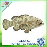 Safari Ltd. : SFR265329 โมเดลปลา Goliath Grouper ถ้วยหัดดื่ม แก้วหัดดื่ม ช้อมส้อมเด็ก ชุดจานเด็ก จานชามเด็ก ชุดถ้วยจานเด็ก ชุดจานชามเด็ก Mamy and Buddy