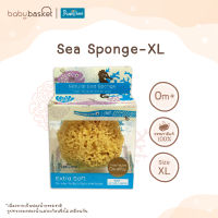 ฟองน้ำอาบน้ำแบบธรรมชาติสำหรับเด็ก Punapena Sea Sponge Honeycomb - XL จาก Punapena