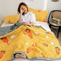 Summer Quilt Air Conditioner Autumn Summer Cotton Machine Washable Thin Quilt Double Quilts With Free Shipping Queen Size Bed