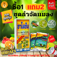 ? ชุดกำจัดแมลง (ฮาโลซัน1ลิตร+อะซีทามิพริด100กรัม*2ซอง) ซื้อ1แถม2