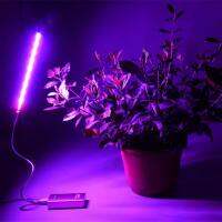 LED Grow Light 5V 2.5W USB Phyto โคมไฟ Full Spectrum Fitolamp พร้อมควบคุม Phytolamp สำหรับพืชต้นกล้าดอกไม้บ้านเต็นท์