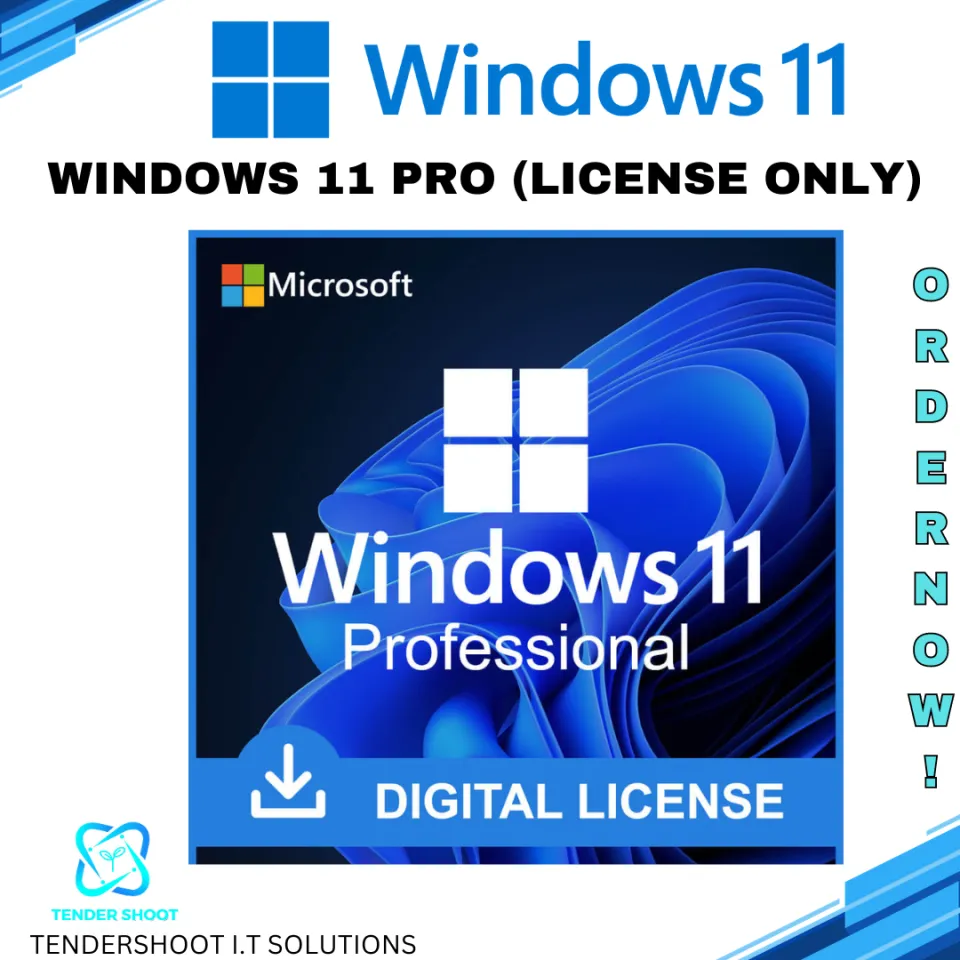 Windows 11 Pro (1PC) License