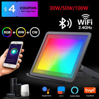 30W 50W 100W Spotlight IP66 Smart Floodlights Led Garden Stage WiFi Smart APP RGB Color Warm Cool light Work Alexa TUYA