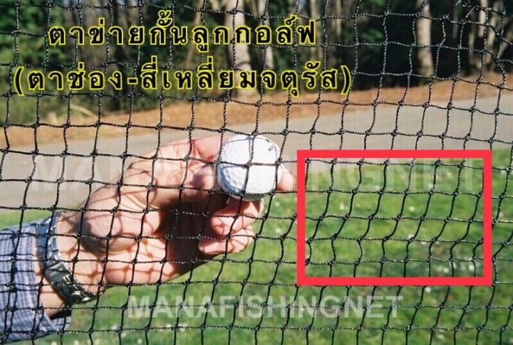 ตาข่ายซ้อมไดร์ฟกอล์ฟ-ขนาด-2x5-เมตร-golf-training-drive-net-golf-net-ใช้ขึงสำหรับทำที่ซ้อมไดร์ฟกอล์ฟในสนามหลังบ้าน-สวน-รีสอร์ต-โรงแรม-สวนหย่อม-สวนสาธารณะ