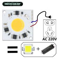 ลูกปัดหลอดไฟ LED ค็อป30W ชิปไดโอดหลอดไฟ AC 220V 240V ไม่มีโปรแกรมควบคุมที่จำเป็นสมาร์ทไอซีสำหรับสปอตไลท์โคมไฟฟลัดไลท์แบบทำมือ