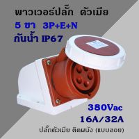 พาวเวอร์ปลั๊ก กันน้ำ ตัวเมีย (ติดผนัง แบบลอย) 5 ขา 3P+E+N 380Vac 16A,32A  IP67 เพาเวอร์ปลั๊ก SFN-1152 SFN-1252 Power plug