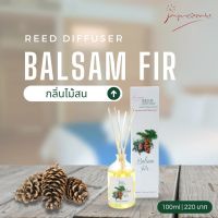 Reed diffuser | Balsam fir ก้านไม้หอม | กลิ่นไม้สน