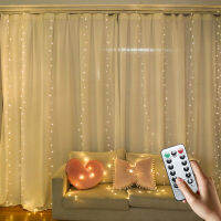 Supplies USB Remote Control Copper Wire Curtain Lamp 3*3 Rice Festival Room Layout Decoration Colored Lights Curtain Lighting Chain