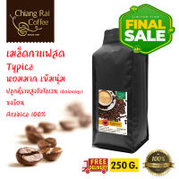 Final Sale เมล็ดกาแฟสด Typica หอมมาก เข้มนุ่ม คั่วกลาง 250 กรัม ส่งฟรี