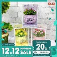 [คุณภาพดี] 【AKINNING】ต้นไม้ปลอมพร้อมกระถาง สำหรับตกแต่งบ้าน ออฟฟิศ โรงแรม. FAKE PLANTS WITH POTS FOR DECOLATING HOUSES.