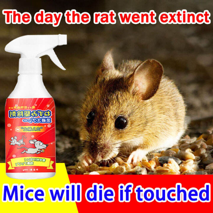 🐀 Mouse smells and runs🐀Rat Repellent Spray 500g No mice infested！It ...