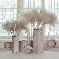 INS Seagrass Flower Vases Home Ho Decoration Multifunction Flower Bottle Ornaments for Plant Pot Desktop Storage