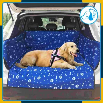 Trunk protector outlet dog