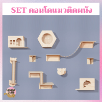 BJ Pet - 1 Set 12 ชิ้น คอนโดแมวติดผนัง คอนโดแมว ของเล่นแมว ของตกแต่งบ้าน สำหรับแมว