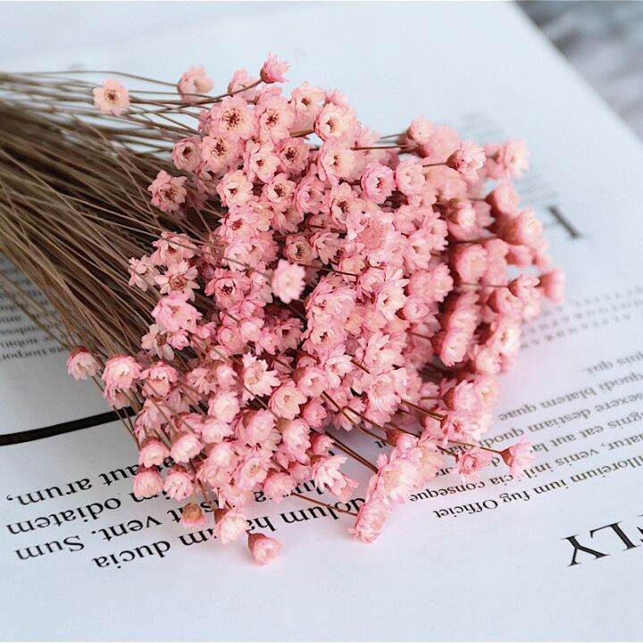 ayiq-flower-shop-ดอกไม้แห้งเล็กๆน้อยๆ-gypsophila-เดซี่ช่อ-diy-ตกแต่งบ้านแจกันการจัดดอกไม้ศิลปะ-deco-ดอกไม้แห้งอุปกรณ์ถ่ายภาพ