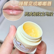 Kho Ngoại Quan Nhật Bản Shiseido Magic Lip Night Repair Film Flax Balm