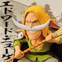 Whitebeard Wano ของแท้ JP แมวทอง - WCF Banpresto [โมเดลวันพีช]