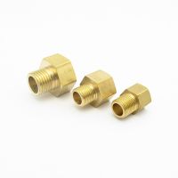 M10 M14 M16 M20 Metric Female To Male Thread Brass Pipe Fitting Coupler Connector Adapter For Water Fuel Gas Valves