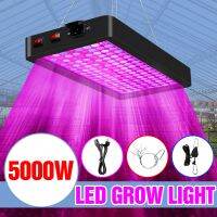 【hot】✐  Growth 4000W 5000W Lamp Indoor Greenhouse 220V Hydroponics Lampara Lighting