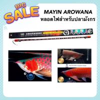 MAYIN AROWANA หลอดไฟสำหรับปลามังกร ใช้ได้ทั้งมังกรทองและมังกรแดงขับสีปลาชัดขึ้น (MY-52 / MY-72 / MY-92 )