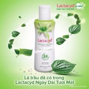 Lacticyl leaf Garcinia Cambogia cleaning liquid 250ml bottle