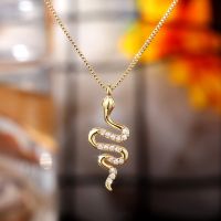 [COD] Cao Shi cross-border popular engraved snake-shaped pendant retro gothic animal clavicle chain men and women wholesale