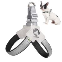 【FCL】✽ No Pull Dog Harness Breathable Chest for Small Medium Dogs Cats Walking French Bulldog Accessories