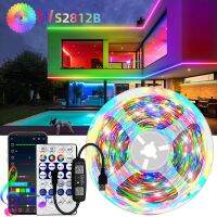 WS2812B LED Strip Lights RGBIC Light Strips for Room USB 5V Infrared Bluetooth Ontroller Luces Luminous Decor 5050SMD Neon Lamp