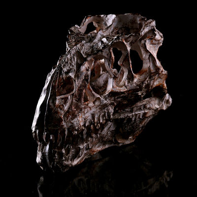 JAPAN โมเดล หัวกะโหลก ไดโนเสาร์ Dinosaur ไทแรนโนซอรัส Tyrannosaurus Rex สุดโหด วัสดุ เรซิ่น Resin กะโหลกผี Skull ตกแต่งบ้าน ปาร์ตี้ฮาโลวีน Halloween โครงกระดูก หัวกะโหลกจำลอง ของขวัญ Gift  Limited edition ของสะสมคอลเลคชั่นพิเศษ Collection