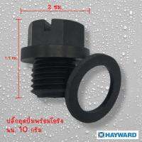 ปลั๊กอุดบอดี้ปั๊ม 1/4พร้อมโอริง Hayward