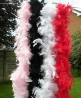 Feather boa 200cm burlesque showgirl hen night fancy dress party dance costume accessory wedding DIY decoration 17colors