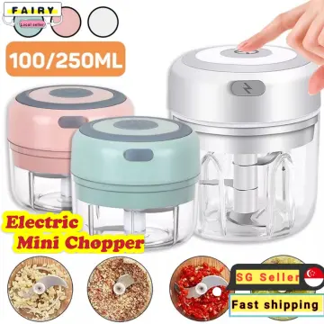 Mini Garlic Chopper - Best Price in Singapore - Sep 2023