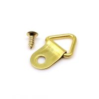 100pcs Mini Golden Triangle D-Ring Picture Oil Painting Mirror Photo Frame Hook Hanger 10x20mm with Screws Furniture Accessories