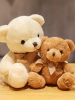 Teddy Bear Doll Little Bear Plush Toy Couple Dressing Bear Doll Sleeping and Holding Rag Doll Childrens Birthday Gift