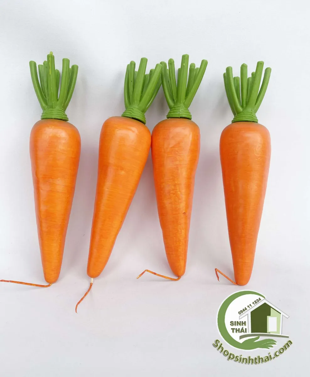 35 ý tưởng hay nhất về Cà rốt  cà rốt thi cuối kỳ hình vẽ thỏ